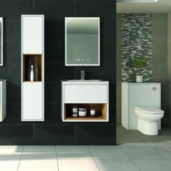 Hudson Reed Coast Back To Wall WC Unit 500mm Wide - White Gloss