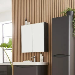 Prestige Arc 2-Door Mirror Bathroom Cabinet 600mm H X 800mm W - Matt Graphite